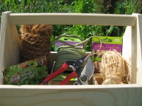 Gutschein 50 € Gutschein 50 €