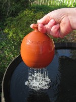 Pflanzendusche Pflanzendusche