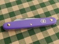 Viktorinox - bunte Taschenmesser Viktorinox - bunte Taschenmesser