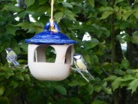 Vogelfuttertopf blau Vogelfuttertopf blau