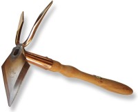 Kupferkleinhaue 'Phoenix' Kupferkleinhaue 'Phoenix'