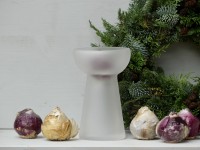 Hyazinthenglas, matt weiss Hyazinthenglas, matt weiss