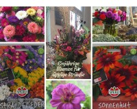 Blumen für Sträuße Blumen für Sträuße