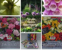 Bauerngartenblumen Bauerngartenblumen